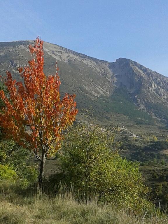 Apartamento Moli De Fornols Dış mekan fotoğraf